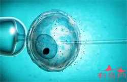 试管代孕会核对结婚证吗-供卵试管手术多少钱_供卵试管包生孩子-供卵试管包成