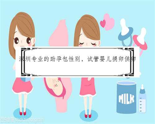 深圳专业的助孕包性别，试管婴儿捐