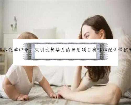 深圳有哪些代孕中介，深圳试管婴儿的费用项目有哪