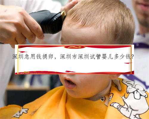 深圳急用钱捐卵，深圳市深圳试管婴儿多少钱？